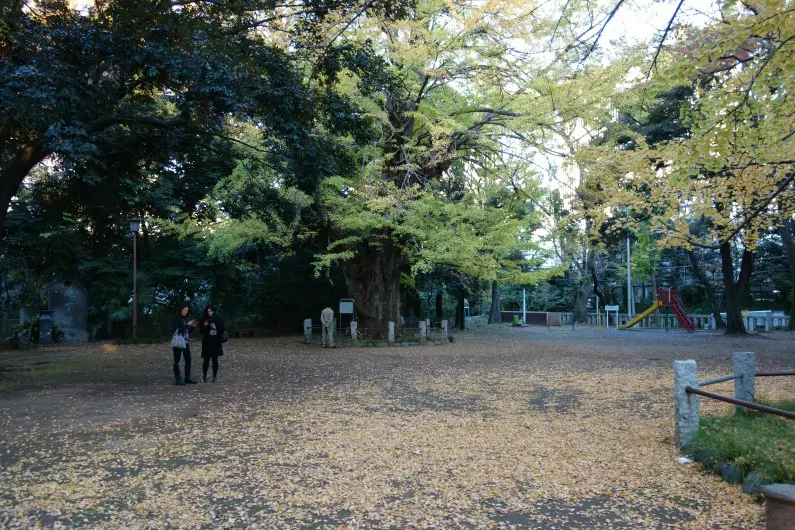赤坂氷川神社 3
