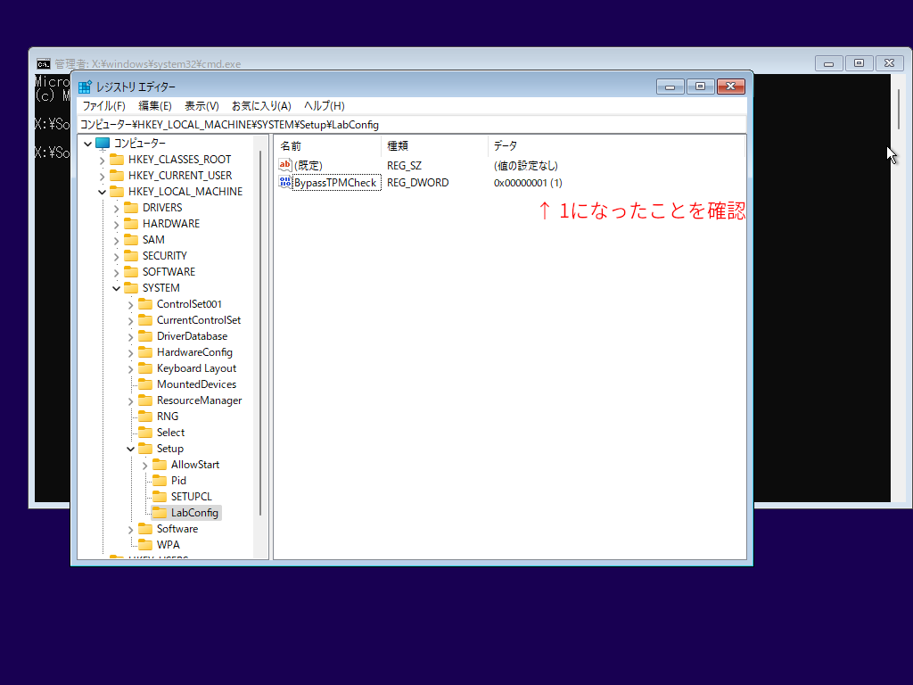 Windows 11 22000クリーンインストール 11