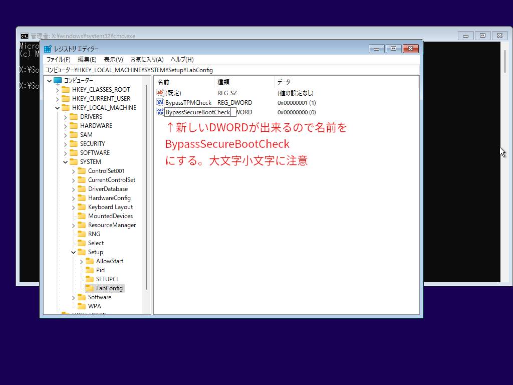 Windows 11 22000クリーンインストール 13