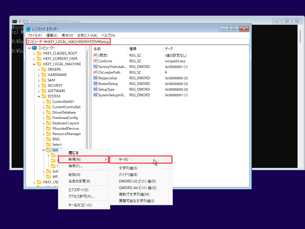 Windows 11 22000ギラ・ヲィヲジデ・リ 6