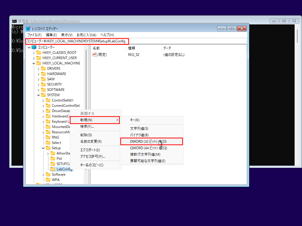 Windows 11 22000ギラ・ヲィヲジデ・リ 8