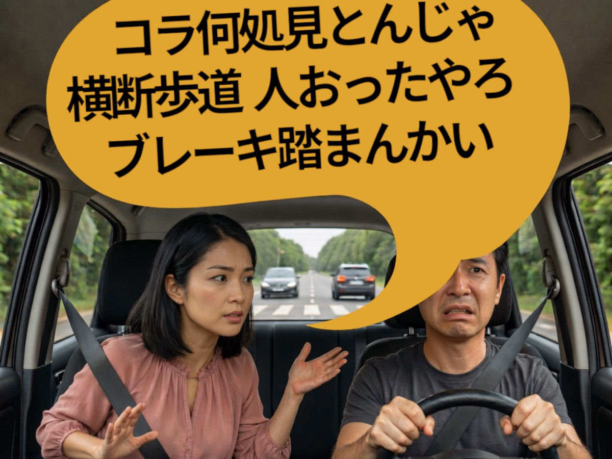 地図情報を読み上げてドライバーに知らせる新アプリBackseat co-Driver